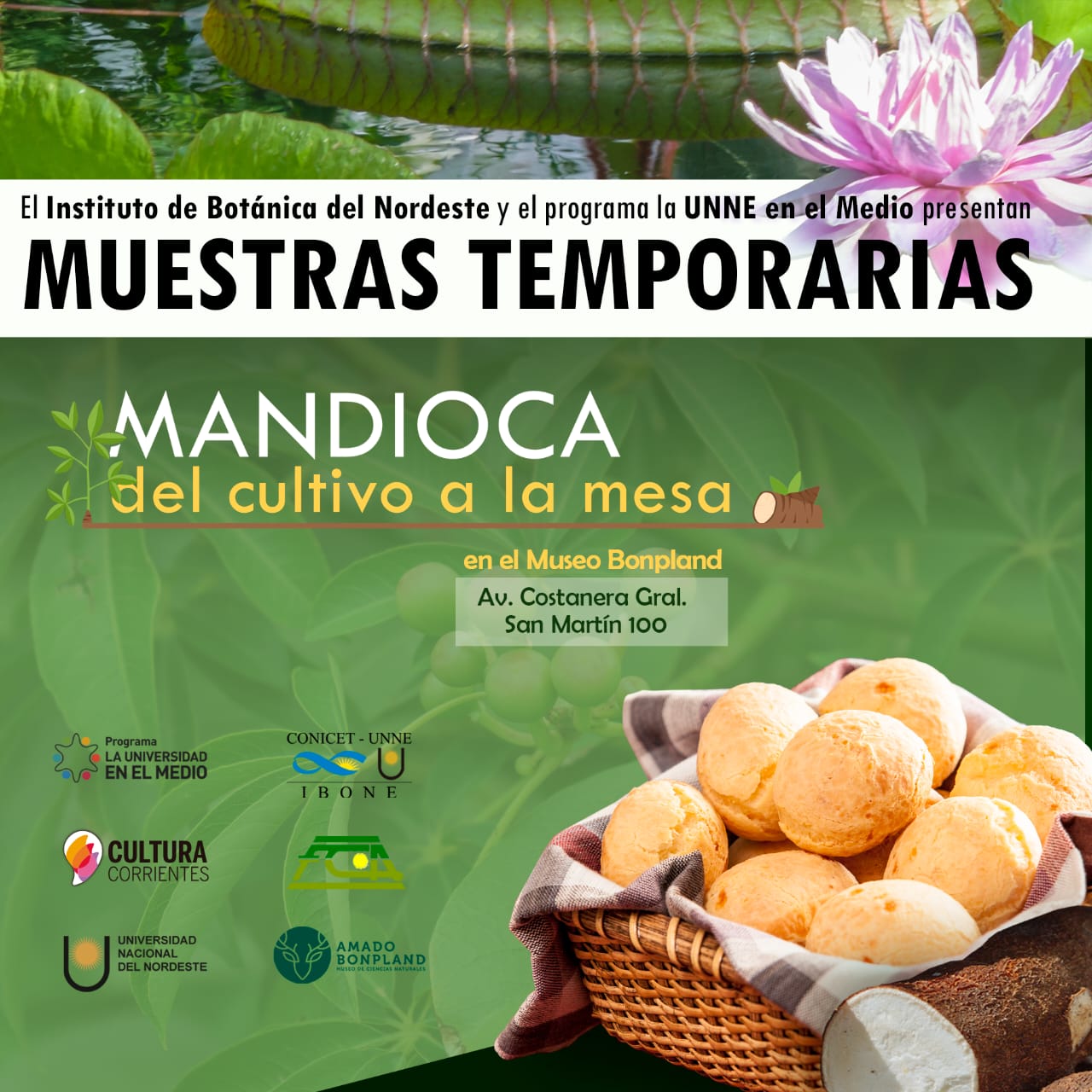 imagen-87636