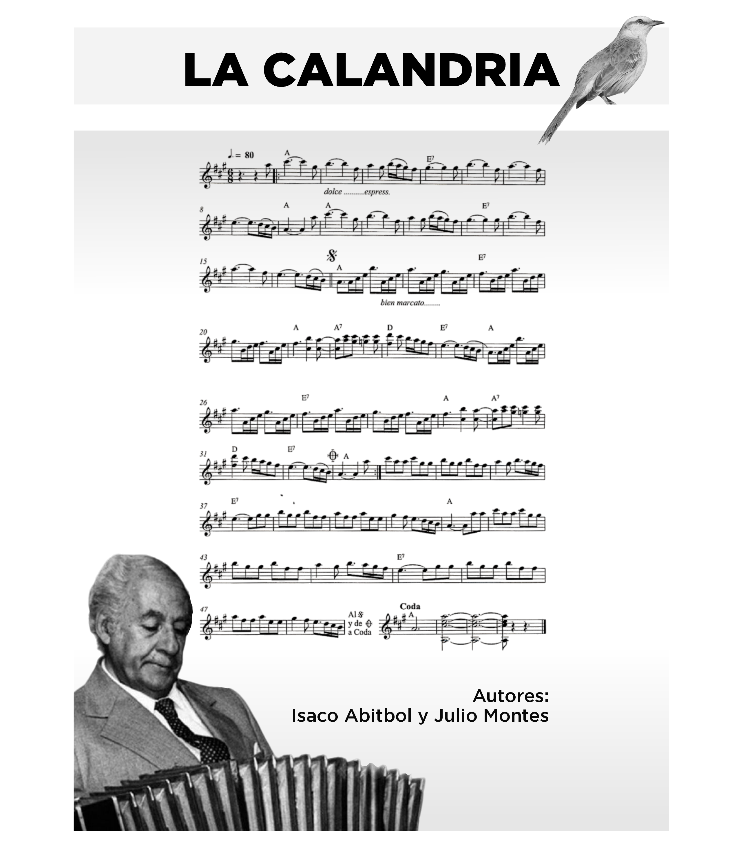 A CALANDRIA